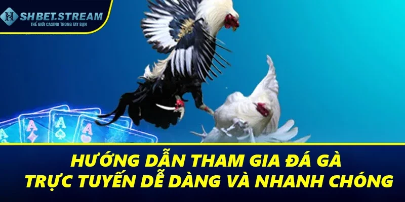 Hướng dẫn tham gia đá gà trực tuyến dễ dàng và nhanh chóng