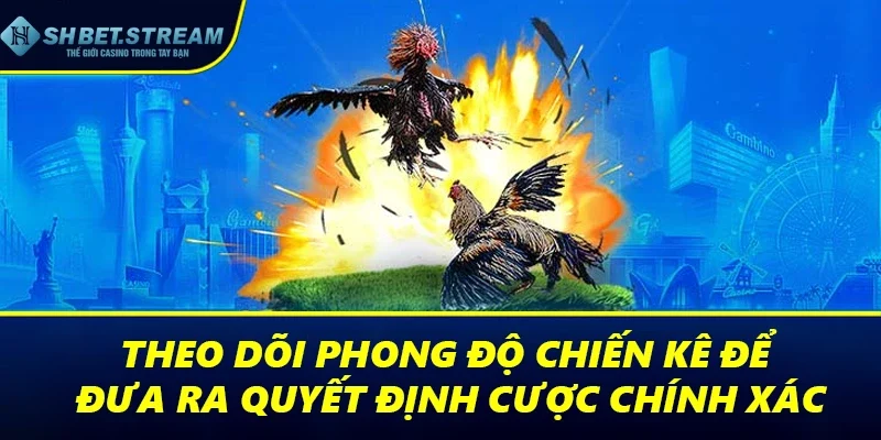 Theo dõi phong độ chiến kê để đưa ra quyết định cược chính xác