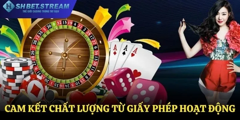 Giấy phép hoạt động và những cam kết