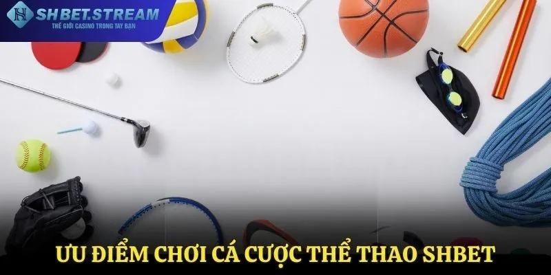 Ưu điểm khi chơi cá cược thể thao tại SHBET